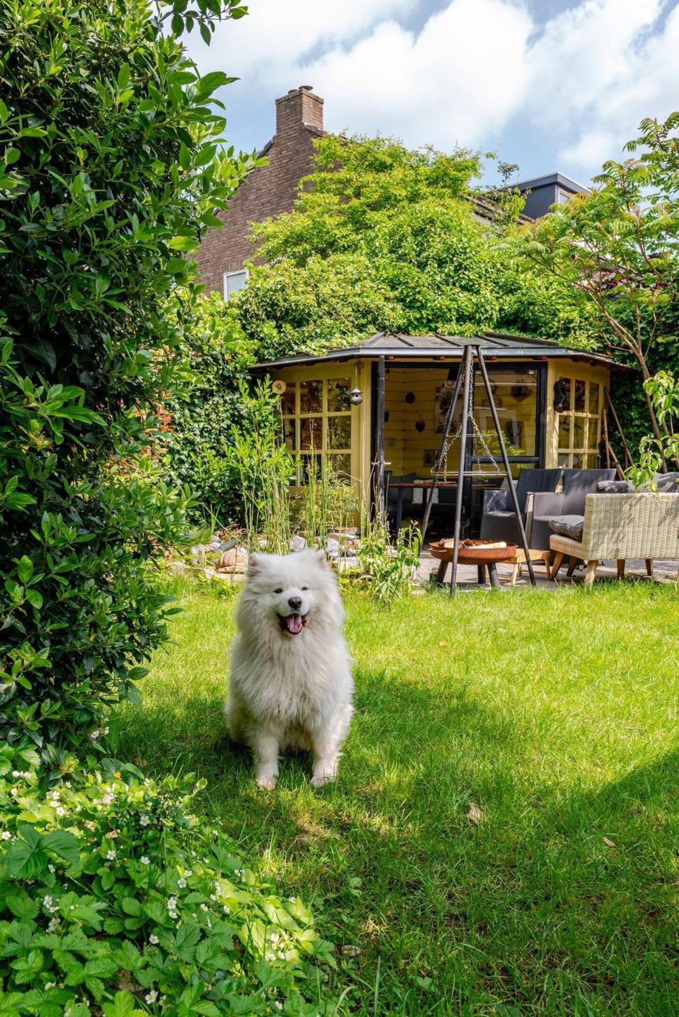 Cozy House - Leenfietsen, Eigen Keuken En Badkamer Nijmegen Exterior photo